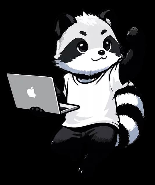 Agence web et SEO Nooki à Nancy