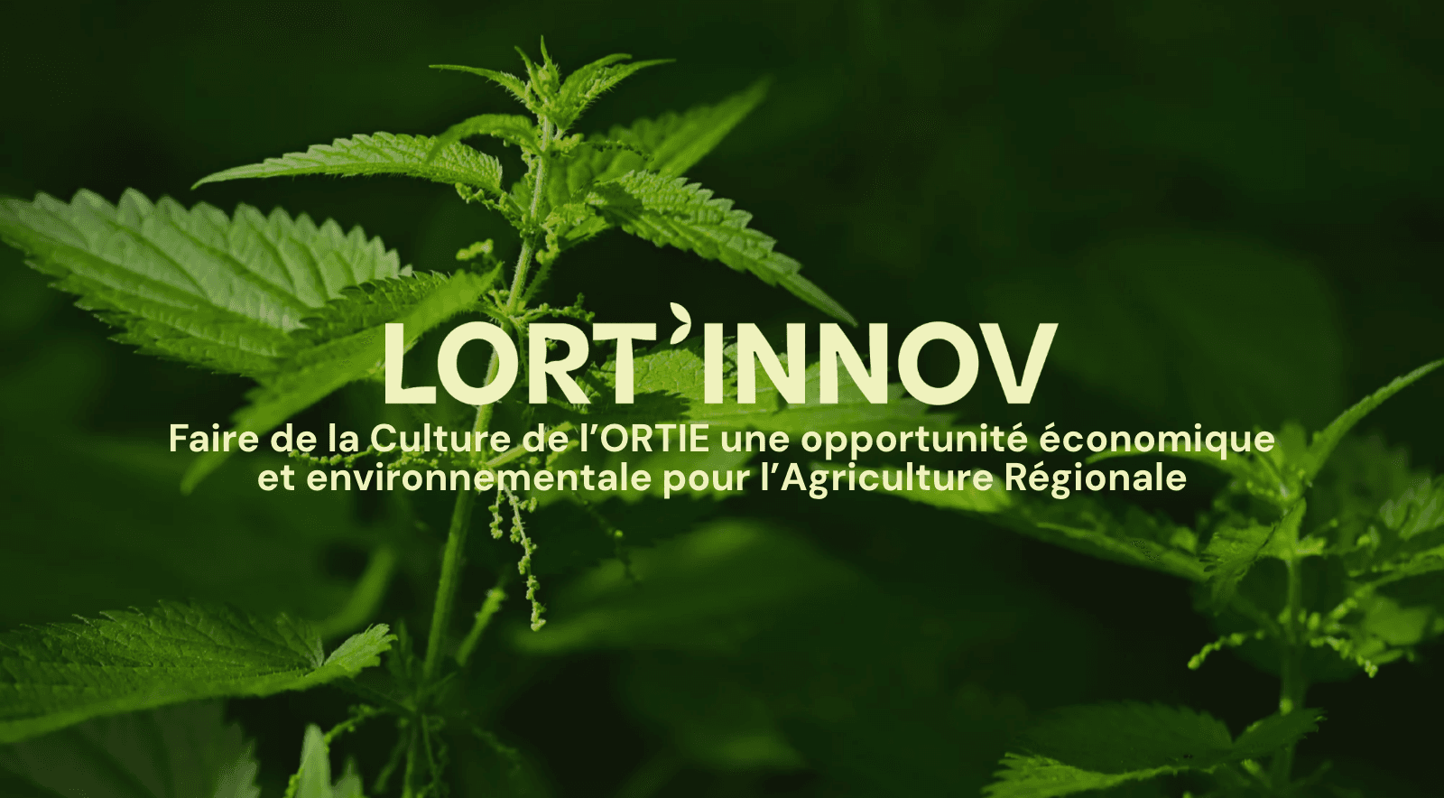 Hero du site — direction artistique végétale