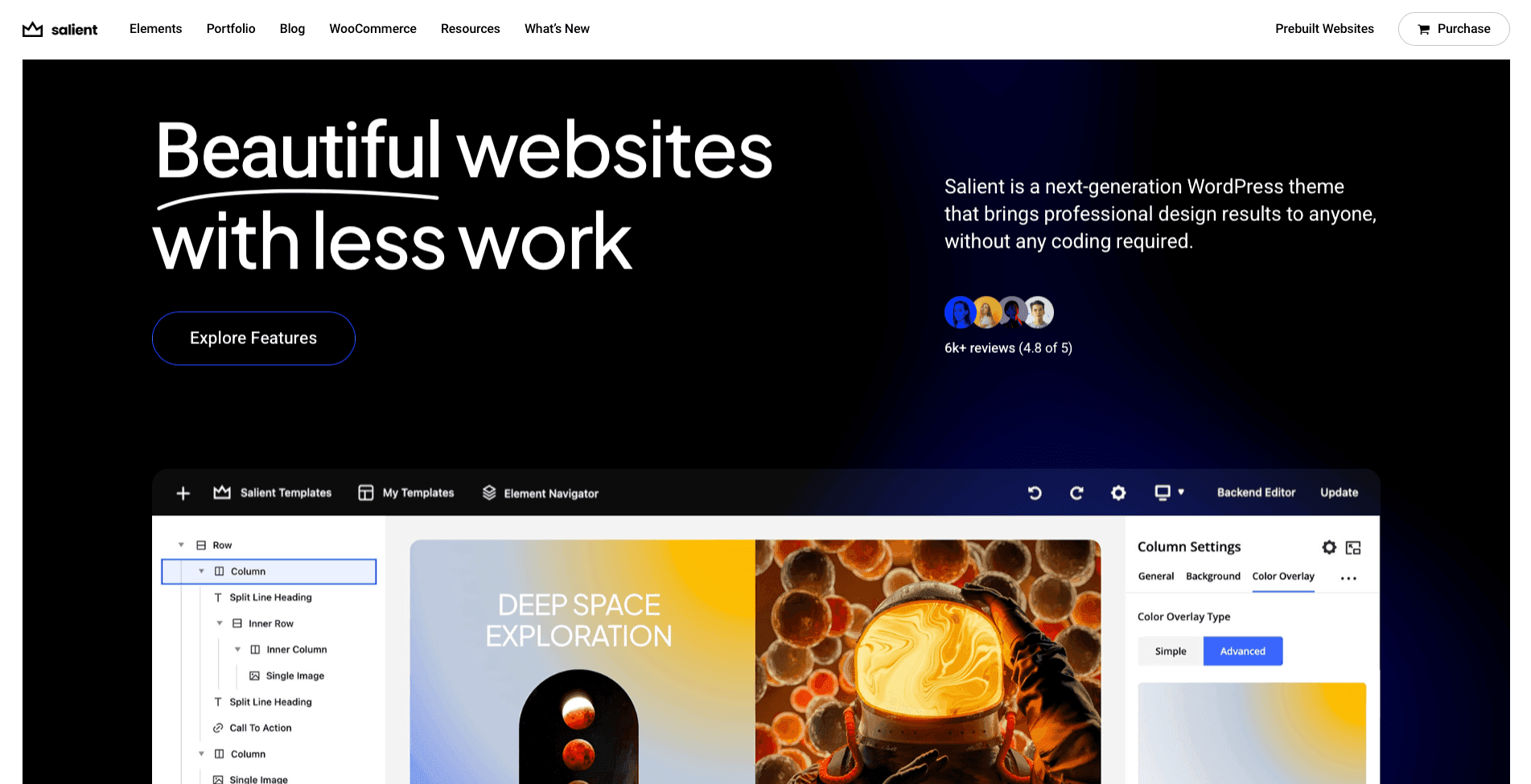 Salient WordPress, une valeur sûre