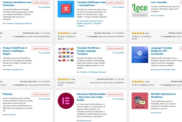 plugin traduction wordpress