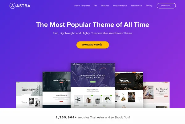 Astra Wordpress